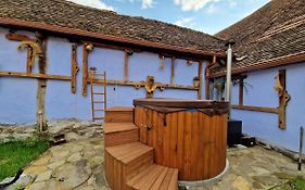 Floresti House 21